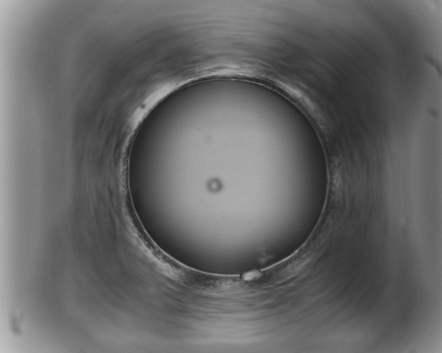 X0000102301375200808011530