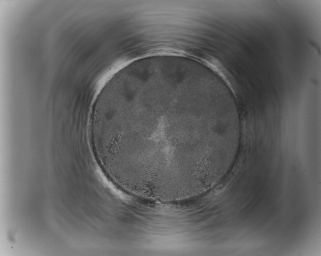 X0000102301379200808011529