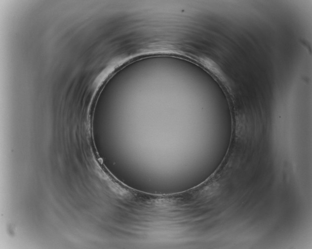 X0000102301380200808011529