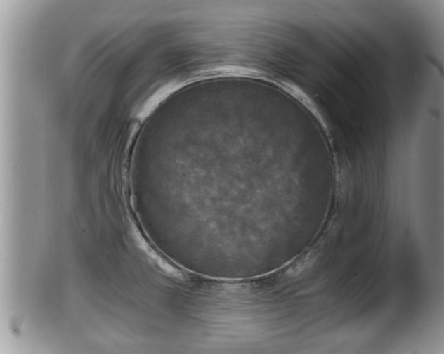 X0000102301381200808011529