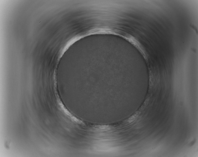 X0000102301382200808011529