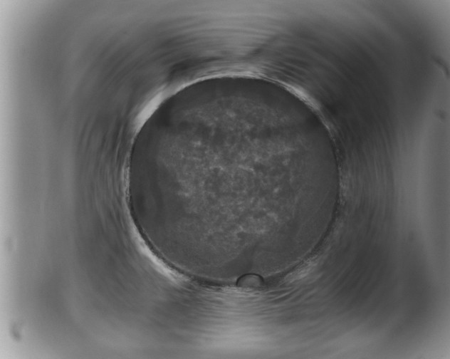 X0000102301383200808011529