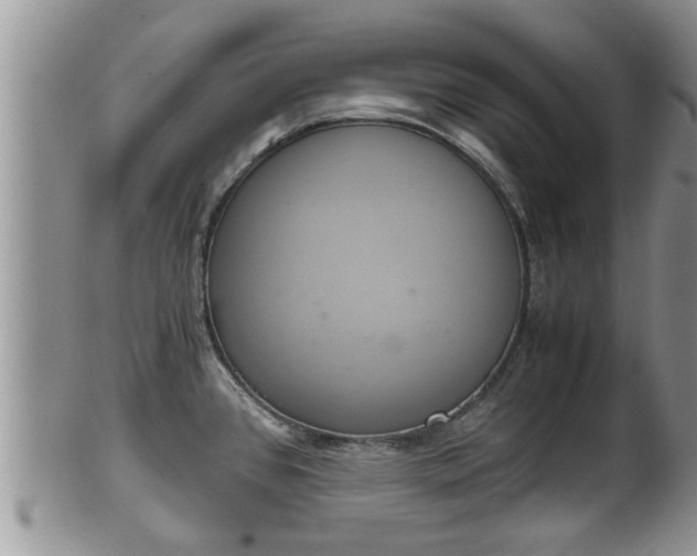 X0000102301384200808011529