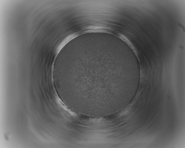 X0000102301386200808011529