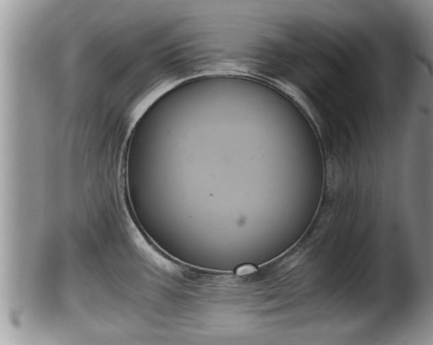 X0000102301387200808011529