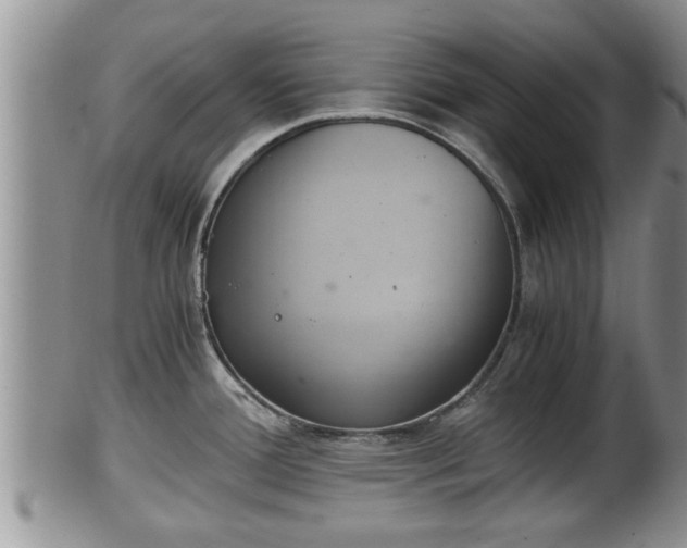 X0000102301388200808011529