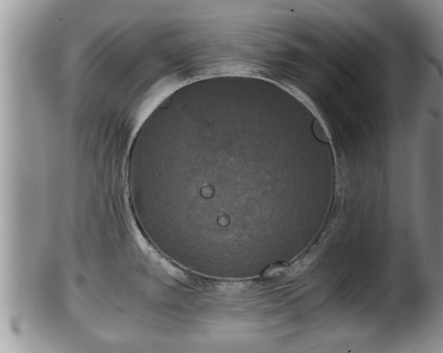 X0000102301389200808011529