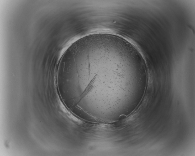 X0000102301390200808011529