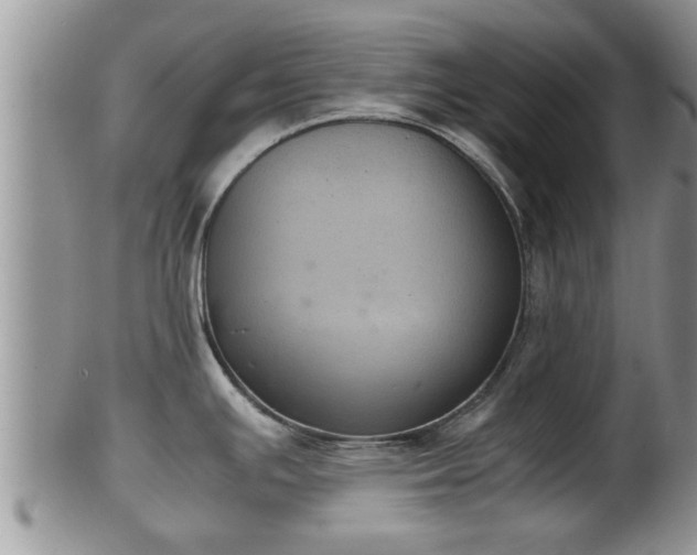 X0000102301391200808011529