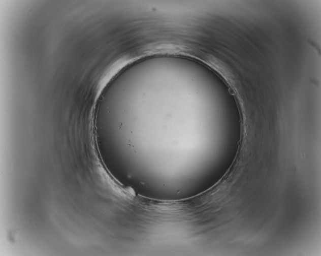 X0000102301392200808011529