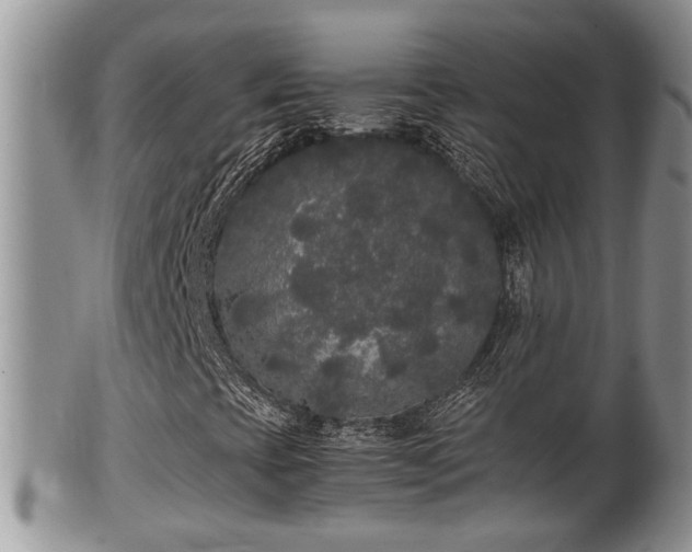 X0000102301393200808011528