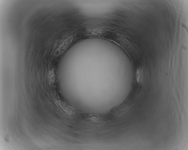 X0000102301395200808011528