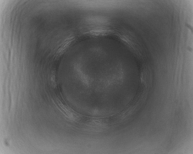 X0000102301396200808011528