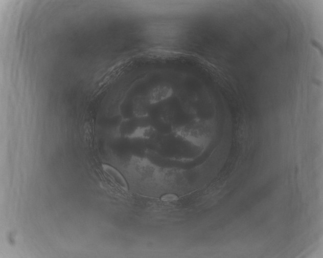 X0000102301397200808011528