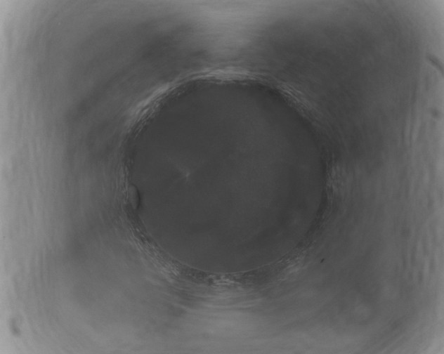 X0000102301398200808011528