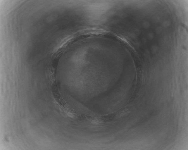 X0000102301399200808011528