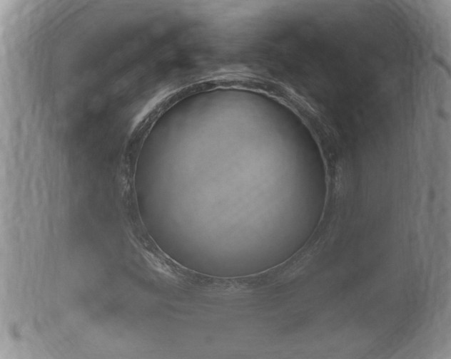 X0000102301400200808011528