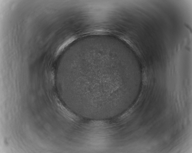 X0000102301402200808011528