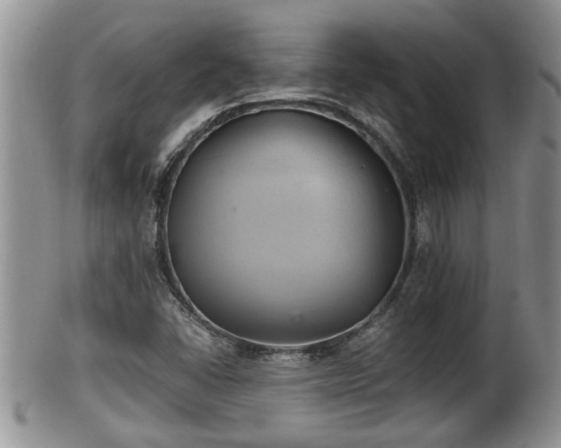 X0000102301406200808011529