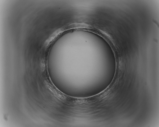 X0000102301407200808011529