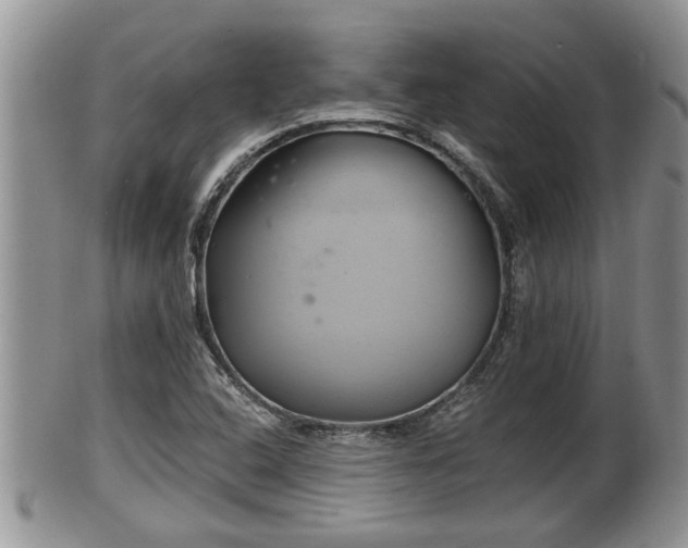 X0000102301408200808011529