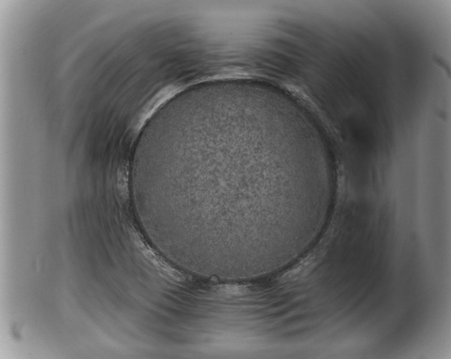 X0000102301409200808011529