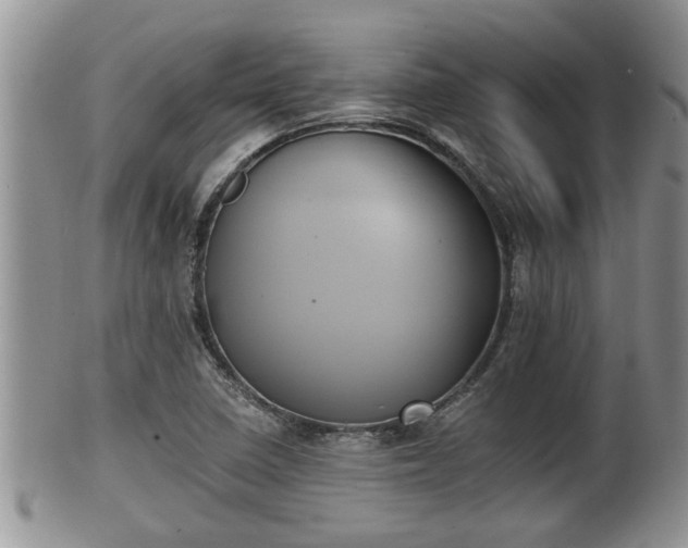 X0000102301410200808011529