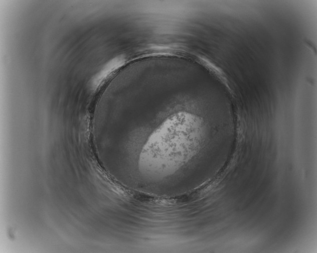 X0000102301411200808011529