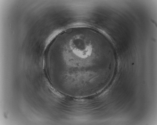 X0000102301413200808011529