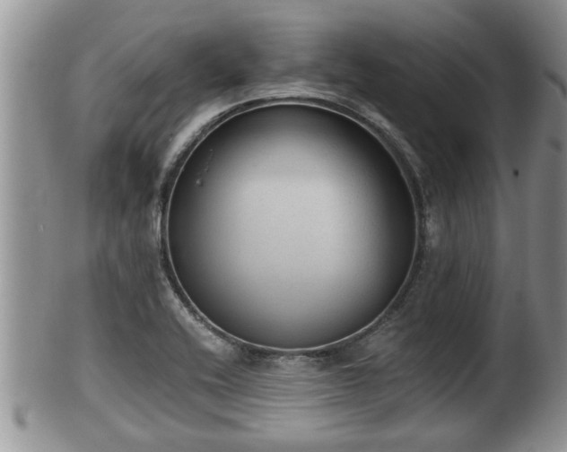 X0000102301416200808011529