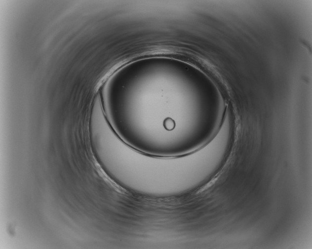 X0000102301417200808011529