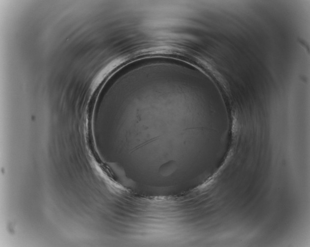 X0000102301418200808011529