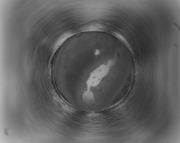 X0000102301419200808011529