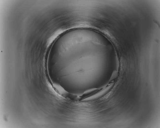 X0000102301422200808011529