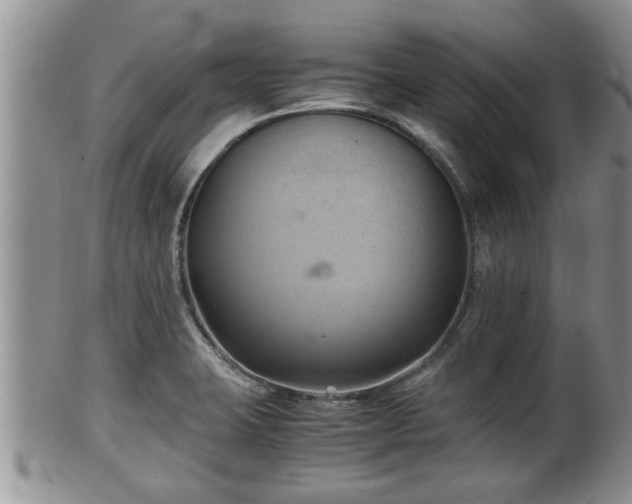 X0000102301423200808011529