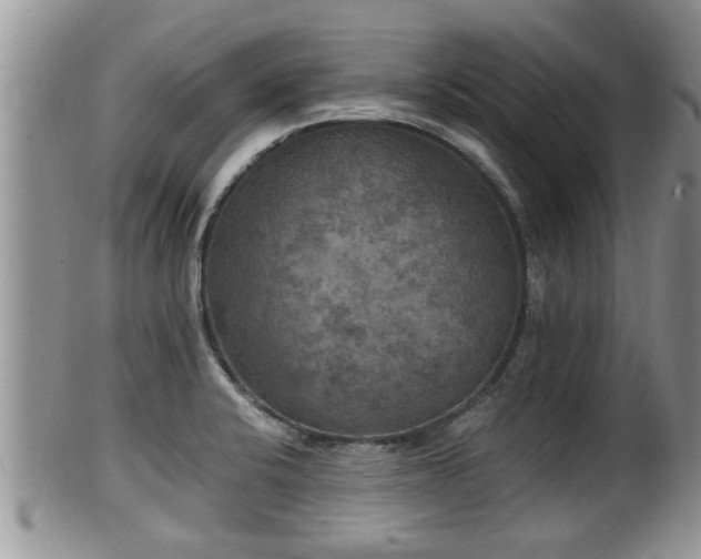 X0000102301424200808011529