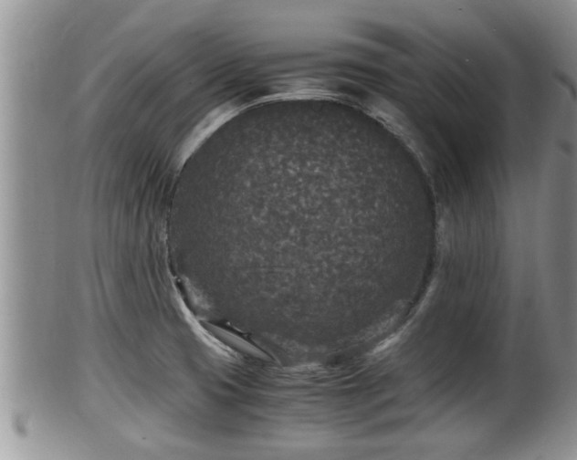 X0000102301425200808011529