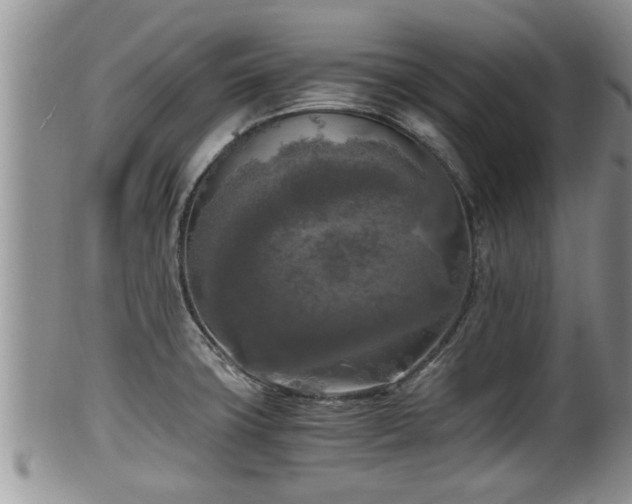 X0000102301427200808011529