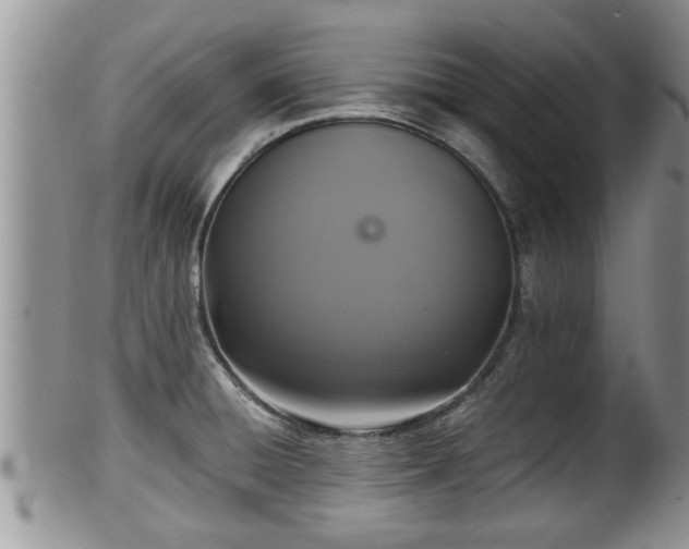 X0000102301428200808011529