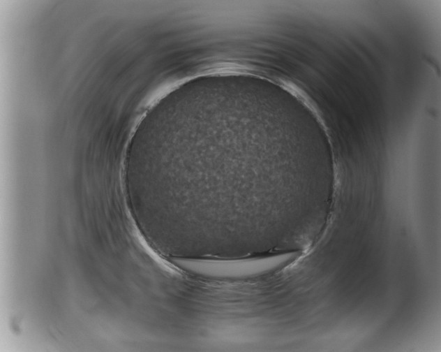 X0000102301429200808011529