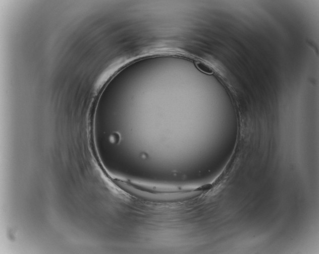 X0000102301430200808011529