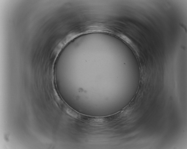 X0000102301431200808011529