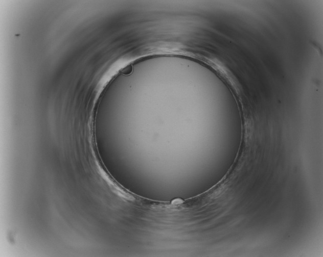 X0000102301432200808011529