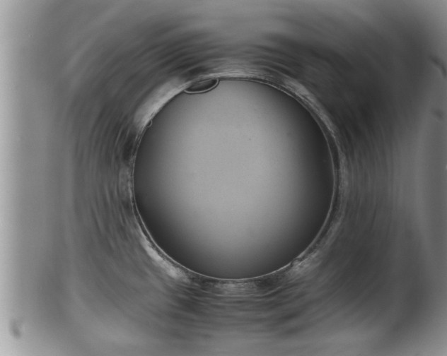 X0000102301433200808011529