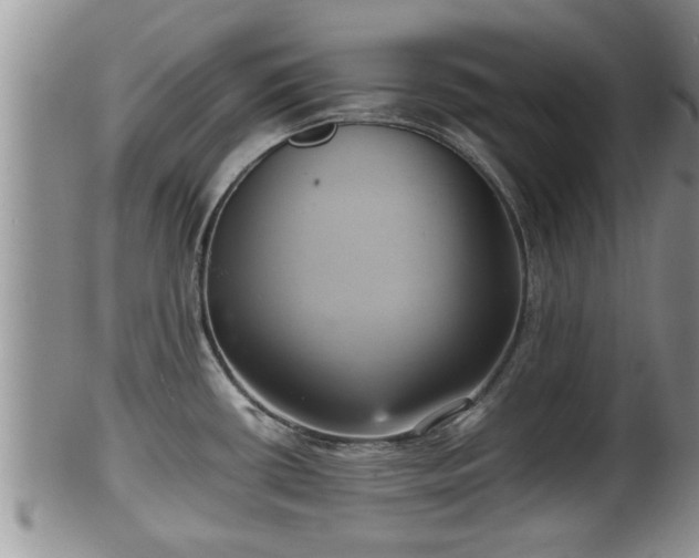 X0000102301434200808011529