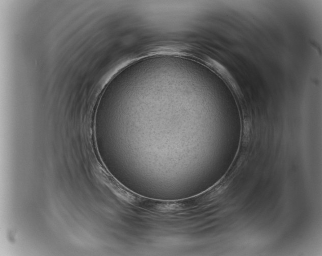 X0000102301435200808011529