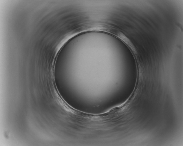 X0000102301436200808011529