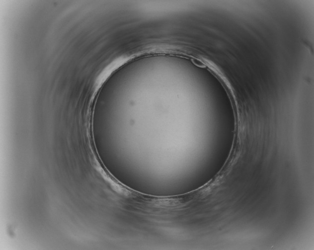 X0000102301437200808011529