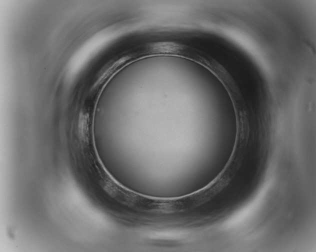 X0000102301438200808011529