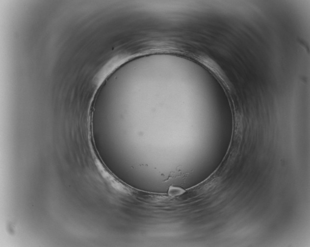 X0000102301439200808011529